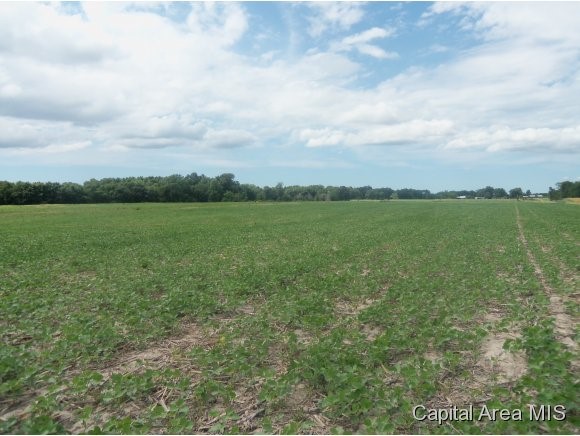 Hunter Hettick, IL 62649 - Photo 1 of 4 Gallery Image 1