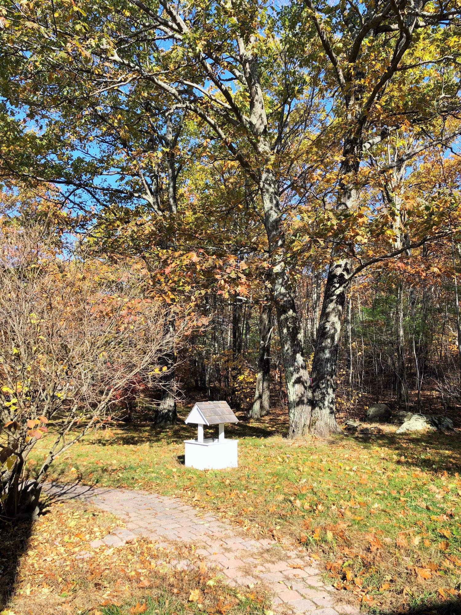 221 County Road Shapleigh, ME 04076 - Photo 24 of 26 Well house
