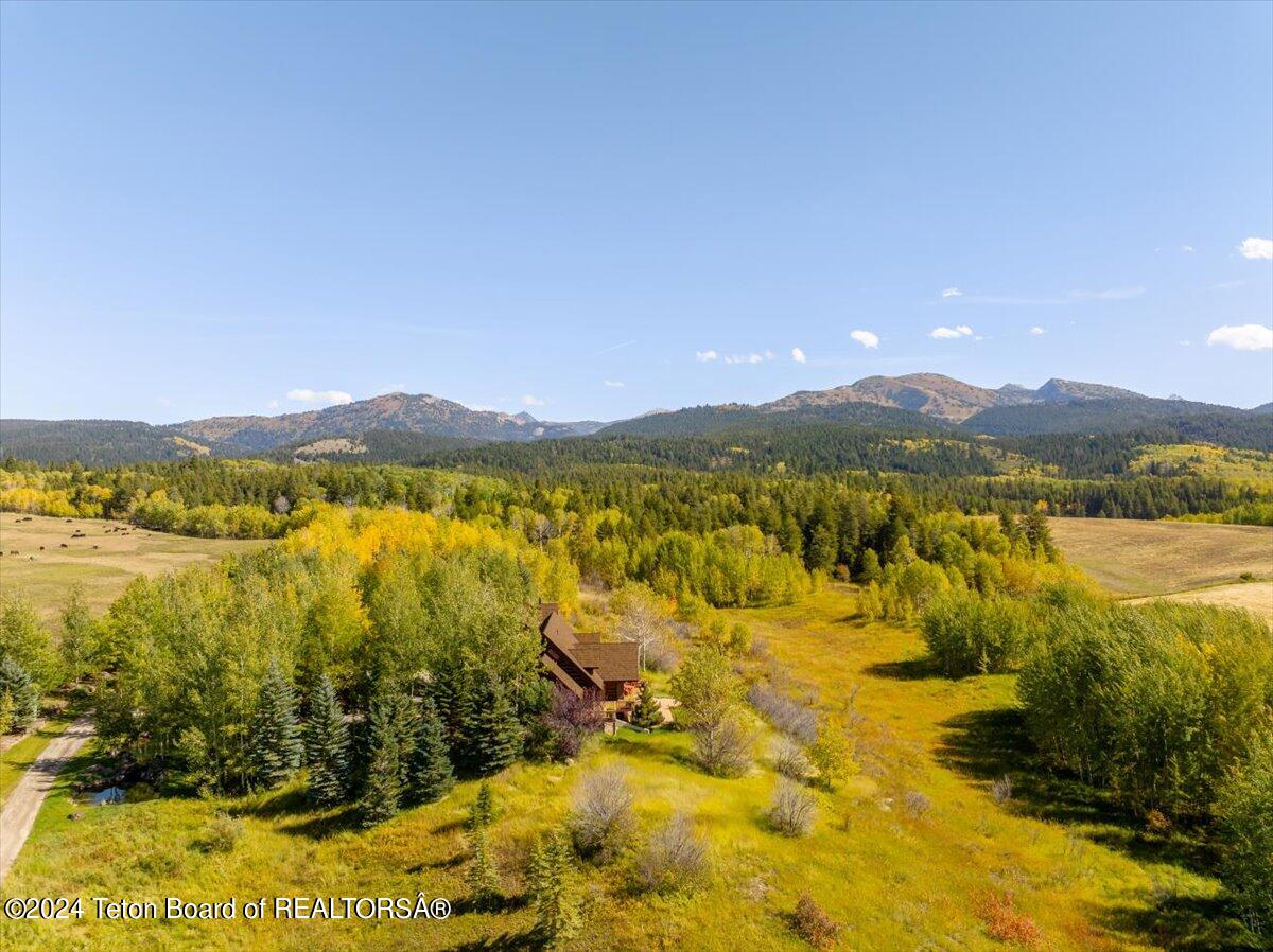 5 Blair Road Alta, WY 83414 - Photo 51 of 91 Aerial NE 1