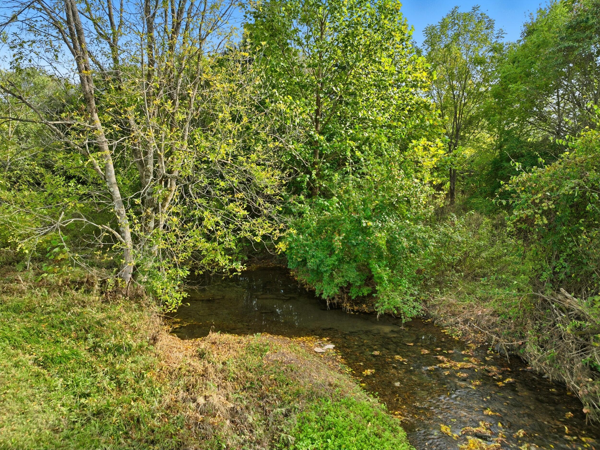 3725 Bowman Mill Road Lexington, KY 40513 - Photo 70 of 70 4_dji_0234