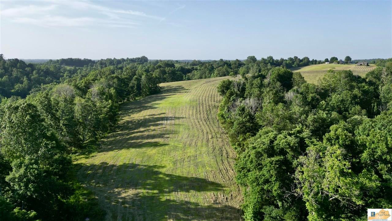 2417 Weed-Keltner Road Edmonton, KY 42129 - Photo 75 of 93 Gallery Image 75