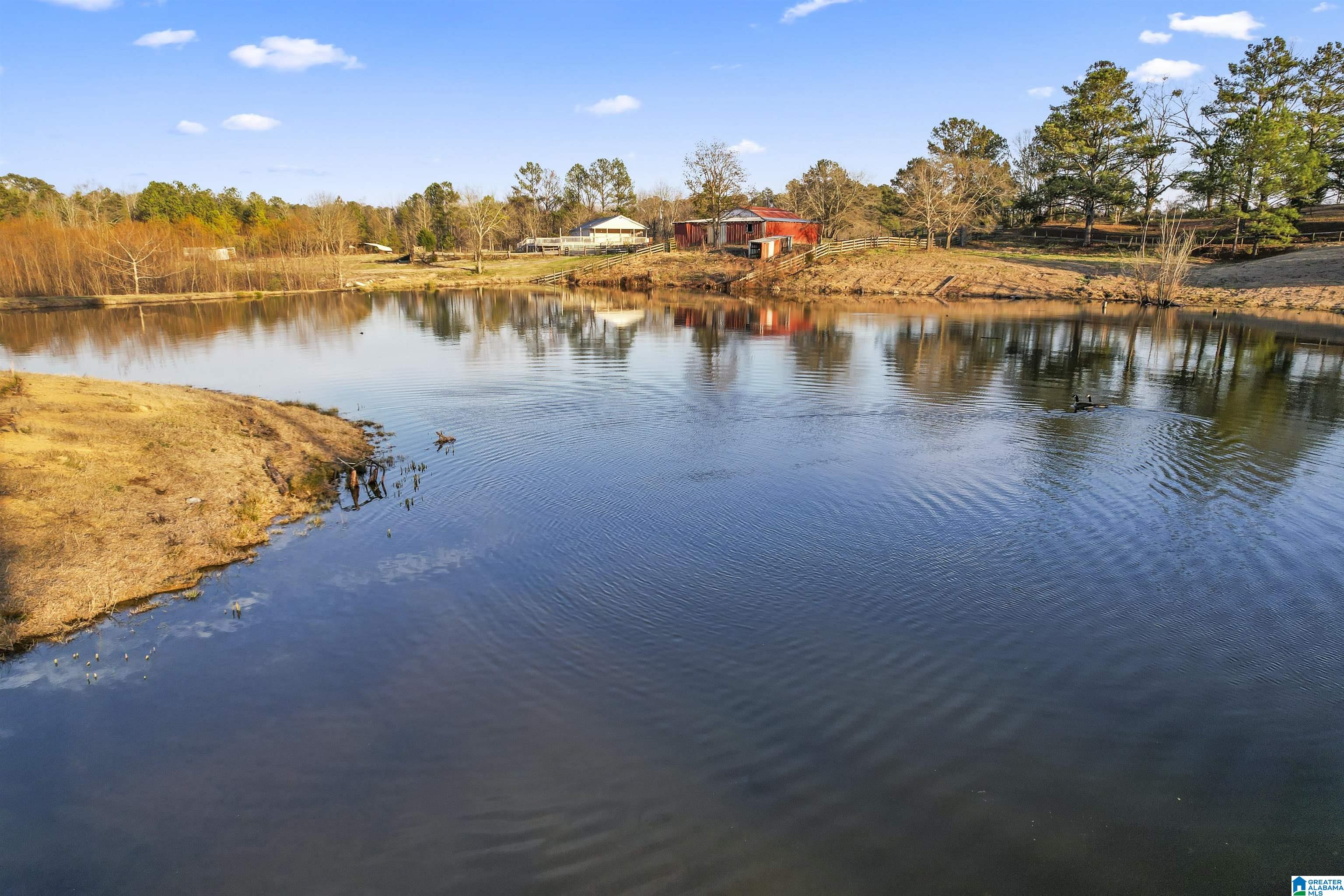 7080 Parsons Lake Road Adger, AL 35006 - Photo 1 of 59