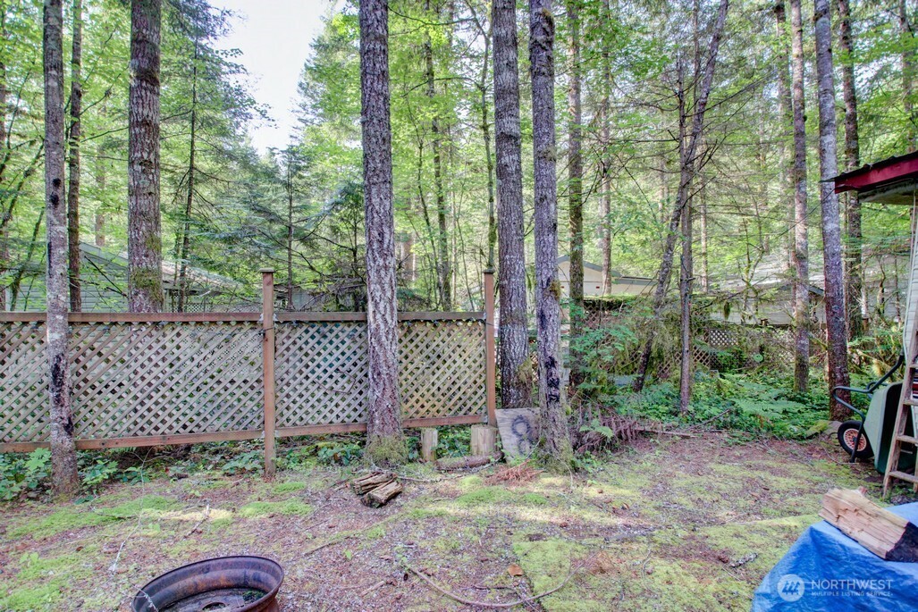 171-4 Christmas Tree Circle Maple Falls, WA 98266 - Photo 32 of 40