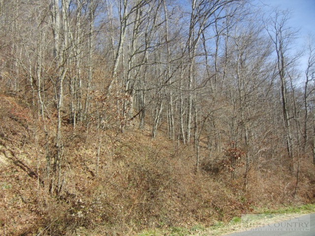 Appaloosa Boone, NC 28607 - Photo 1 of 9 Gallery Image 1