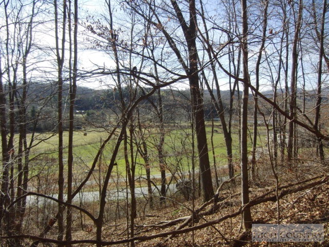 Appaloosa Boone, NC 28607 - Photo 3 of 9 Gallery Image 3