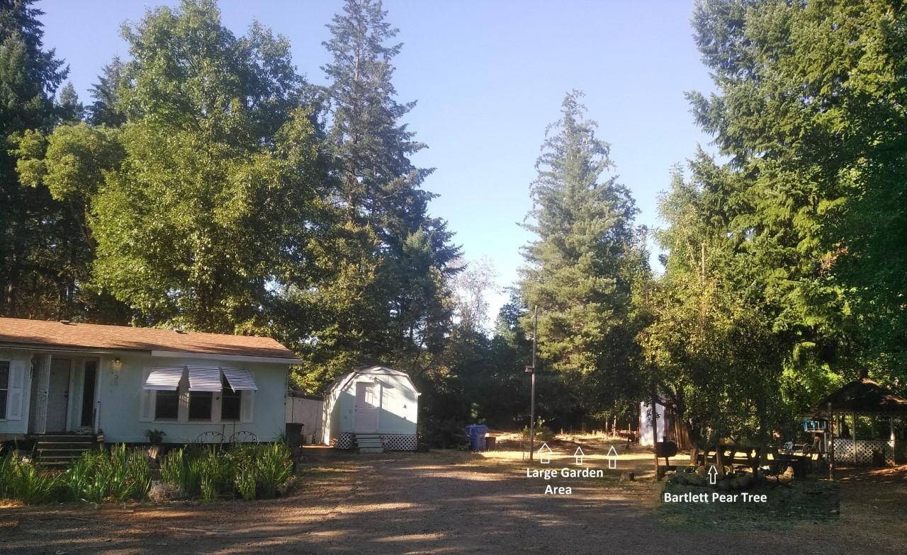 283 South Old Stage Road Cave Junction, OR 97523 - Photo 3 of 28 283 Garden Area Shop & Pear