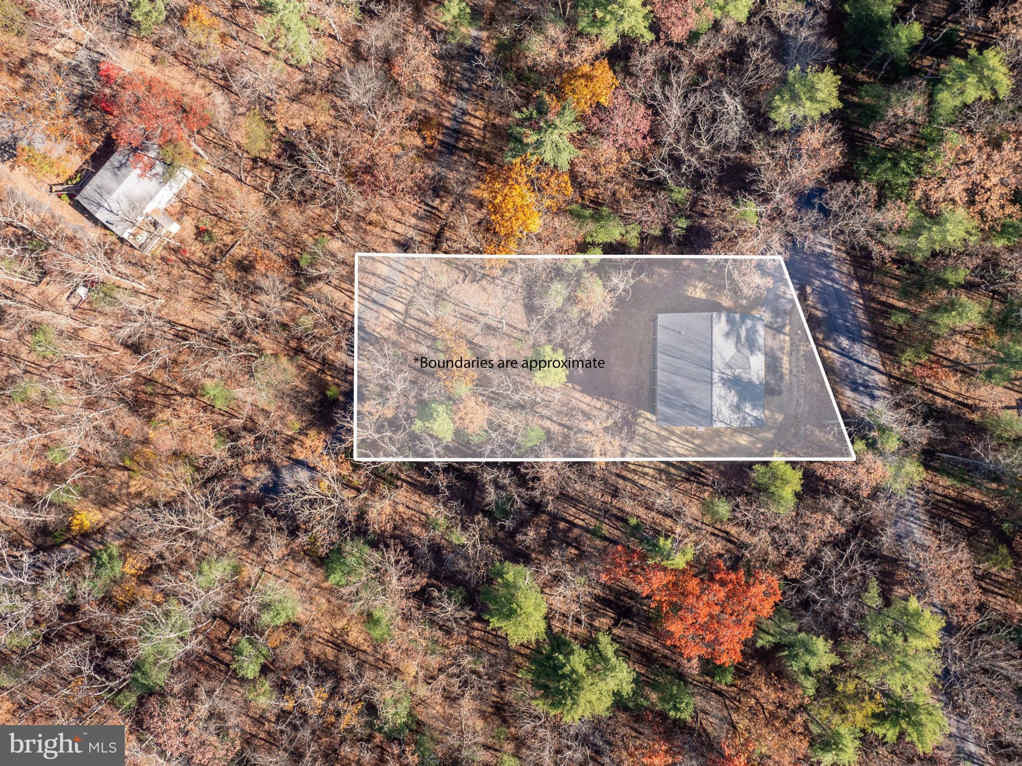 125 Crabapple Road Mount Jackson, VA 22842 - Photo 48 of 51 a view of yard