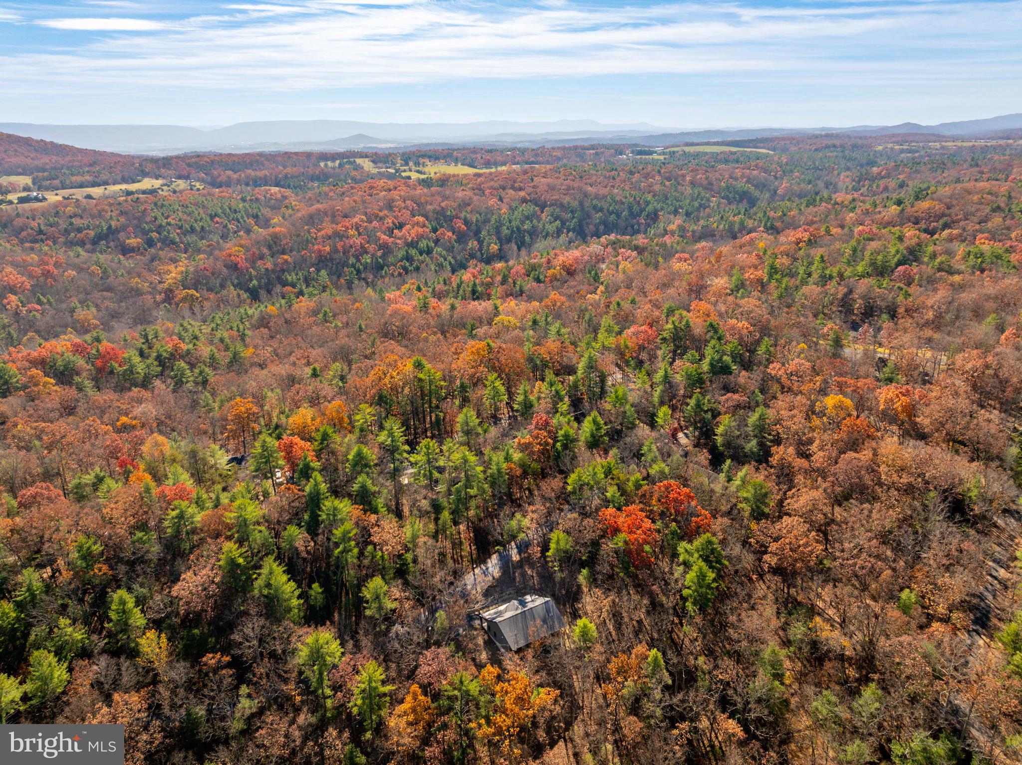 125 Crabapple Road Mount Jackson, VA 22842 - Photo 50 of 51 a view of city and mountain