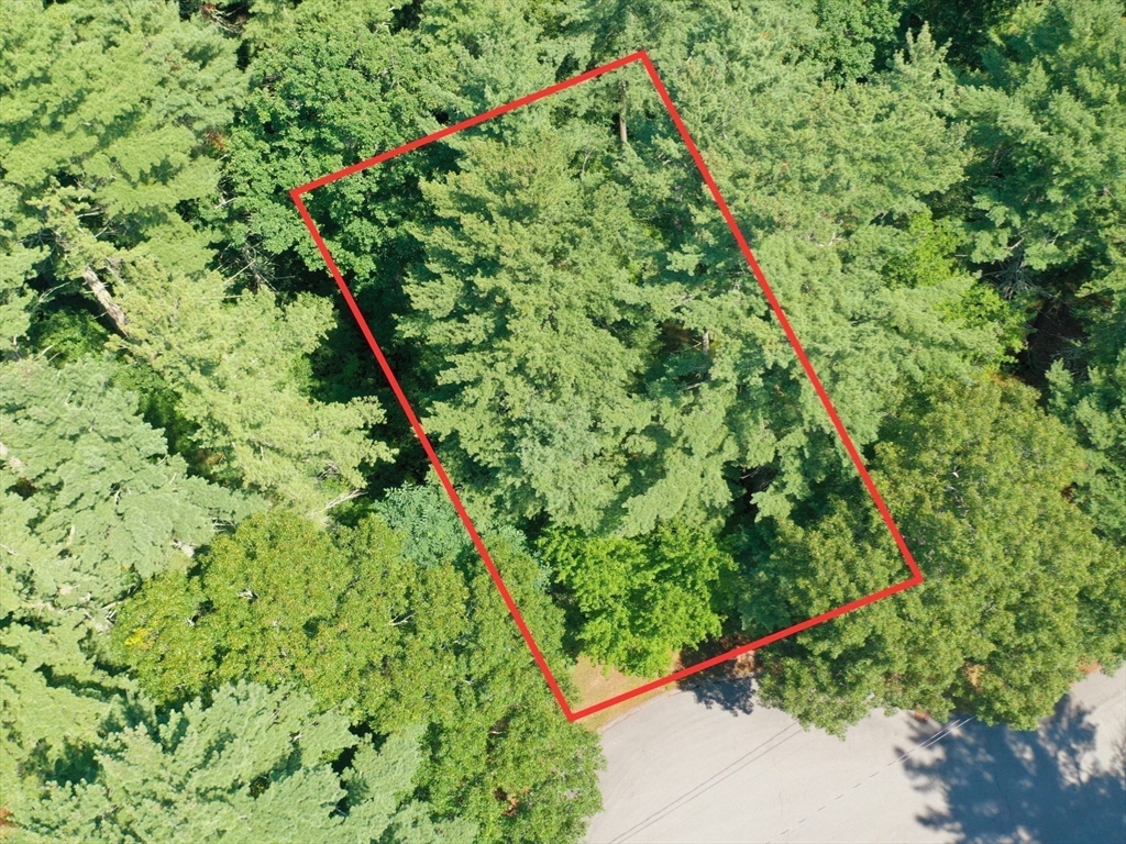 0 Nel Bonney Road Carver, MA 02330 - Photo 13 of 19 Gallery Image 13