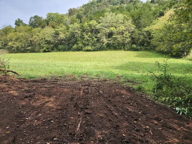 a view of a field with an trees