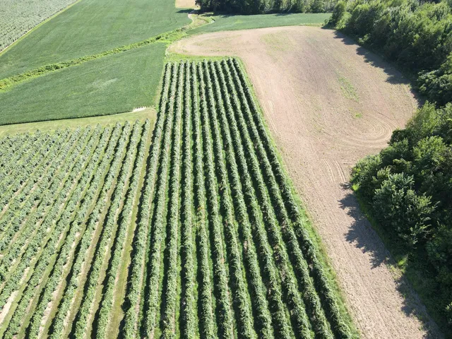 $169,900 | V/l East Hinchman Road, Berrien Springs, MI 49103