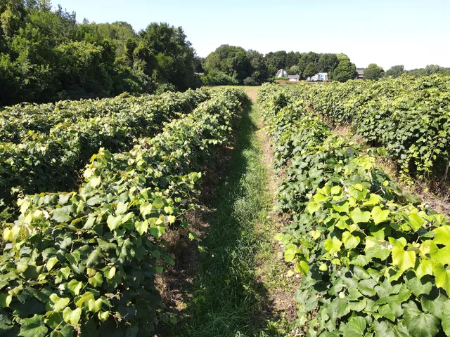 $169,900 | V/l East Hinchman Road, Berrien Springs, MI 49103