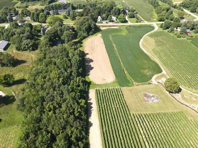 $169,900 | V/l East Hinchman Road, Berrien Springs, MI 49103