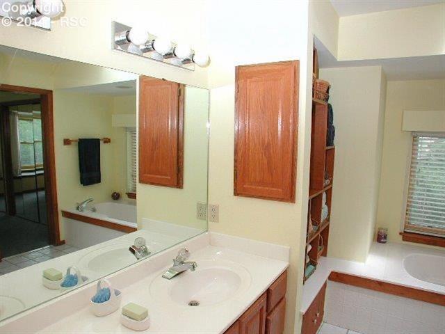 18105 Forest View Road Monument, CO 80132 - Photo 14 of 24 Another View of the Master Bath!