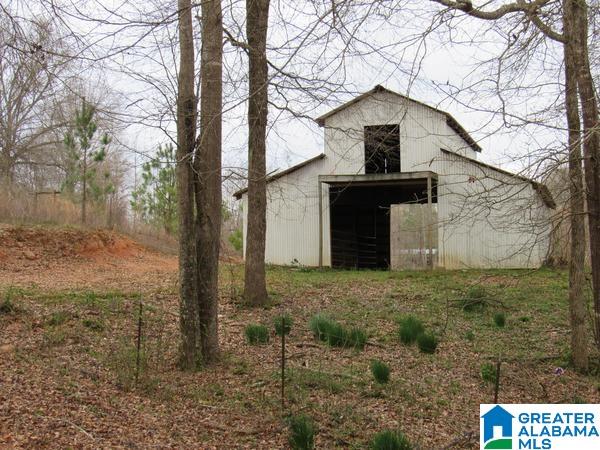 844 County Road 313 Delta, AL 36258 - Photo 14 of 35