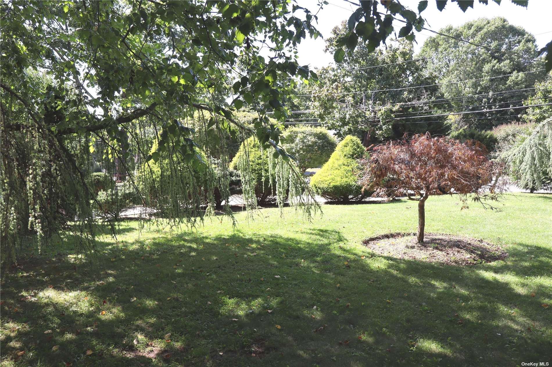6 Remsenburg, undefined 00000 - Photo 23 of 31 a view of a yard with trees
