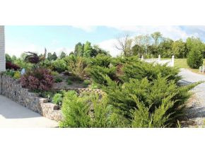 5240 Baileyton Road Greeneville, TN 37745 - Photo 3 of 24 Photo 3