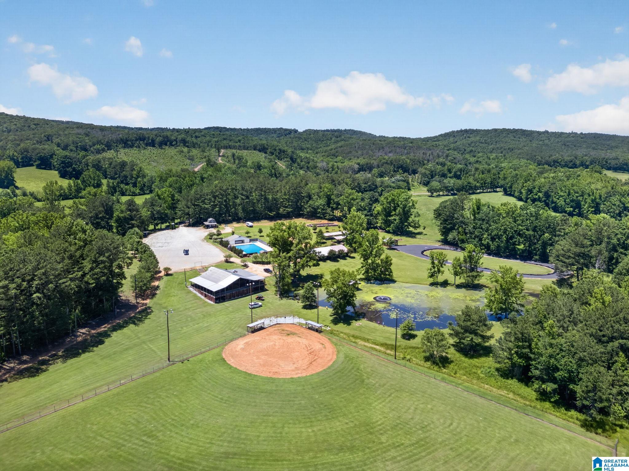 3463 County Road 3 Delta, AL 36258 - Photo 64 of 100