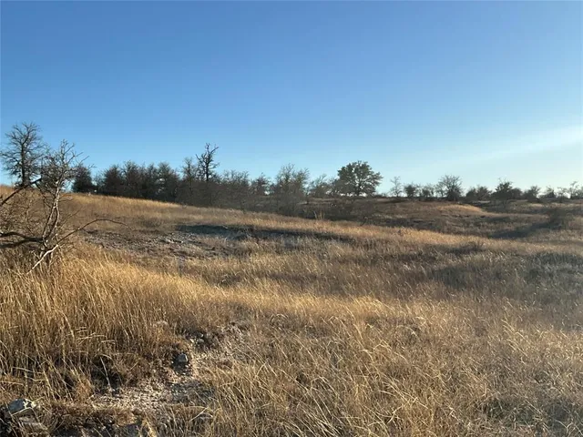 a view of a field with a tree in back