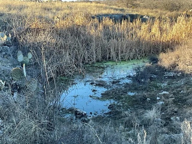 a view of lake and mountain