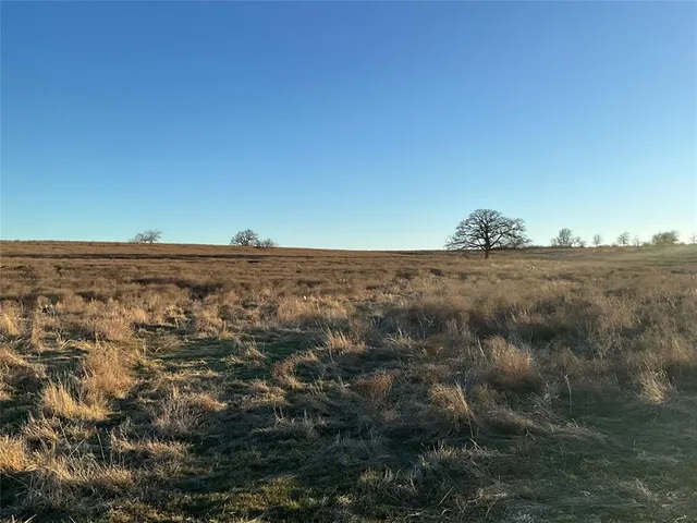 a view of a lake in middle of forest