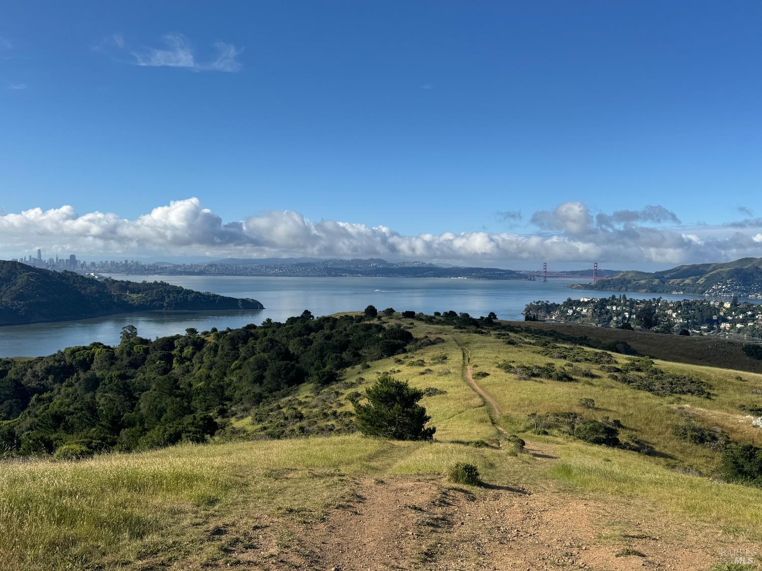 616 Ridge Road Tiburon, CA 94920 - Photo 75 of 81 View from Old Saint Hilary preserve.