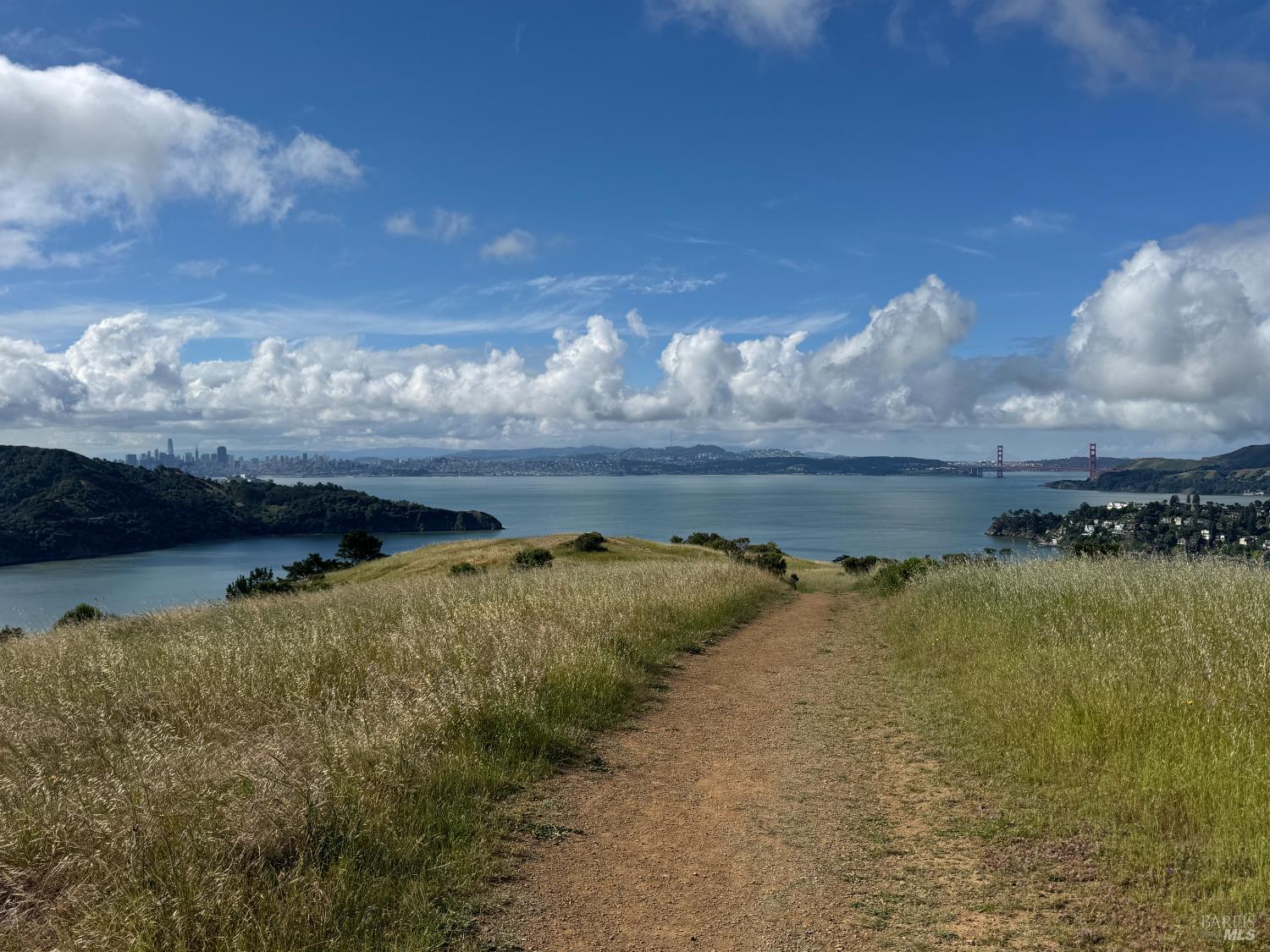 616 Ridge Road Tiburon, CA 94920 - Photo 76 of 81 This home borders 300 + Acres of preserved open space, The Old St. Hilary's preserve.