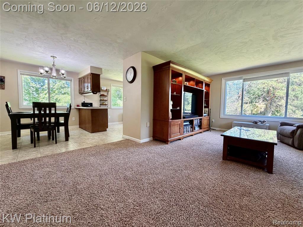 4059 Galbraith Line Road Croswell, MI 48422 - Photo 6 of 37