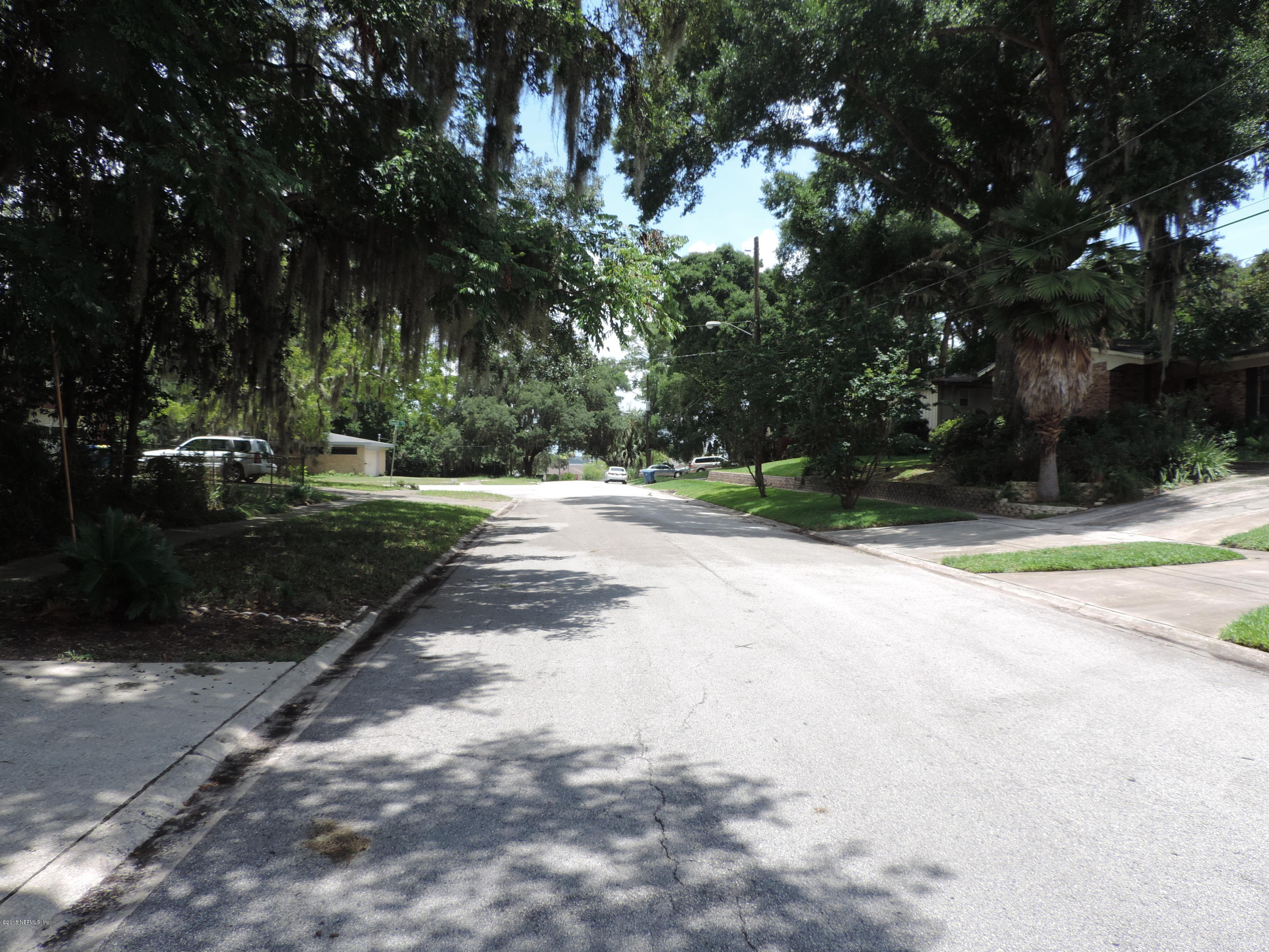 4006 Bess Road Jacksonville, FL 32277 - Photo 23 of 30 a view of a yard with a tree