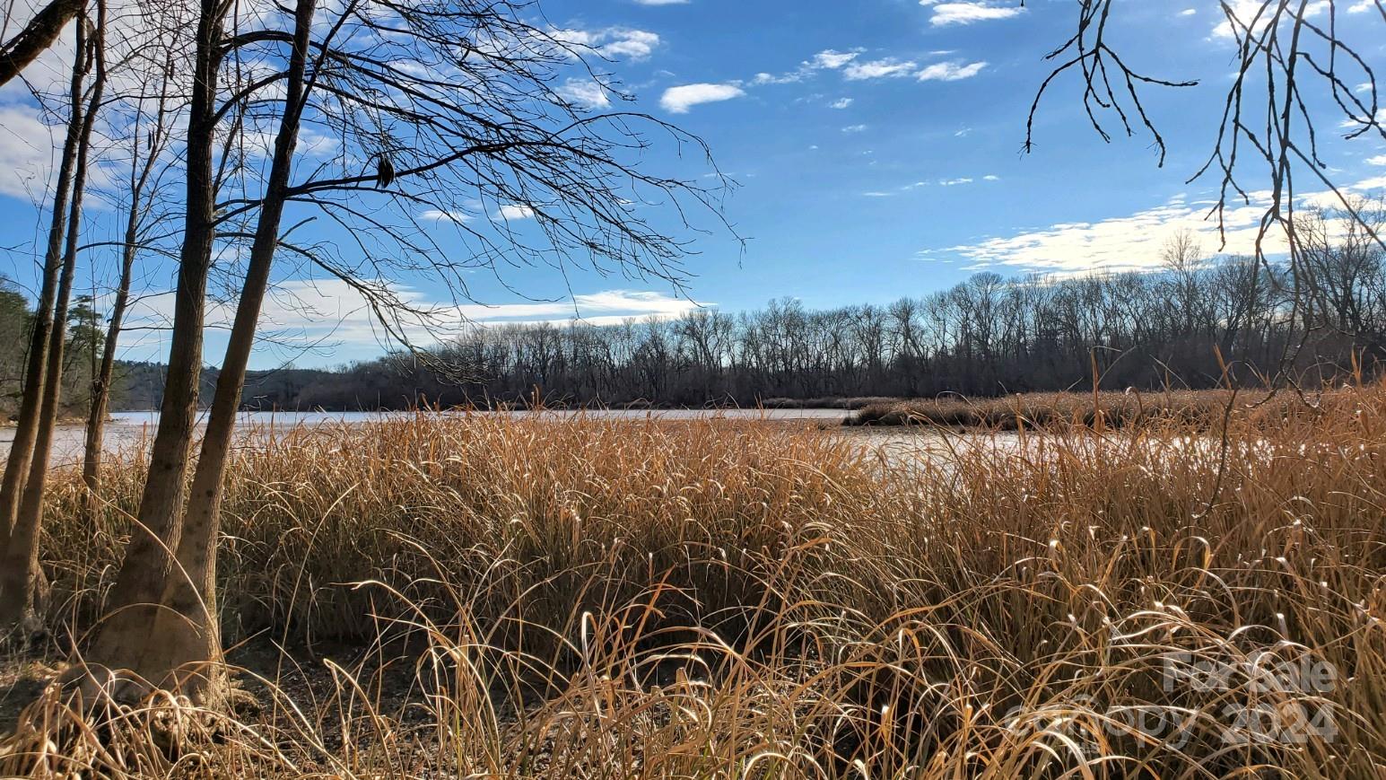 Tbd Grassy Island Road Ellerbe, NC 28338 - Photo 14 of 38 a view of lake with tree in the background