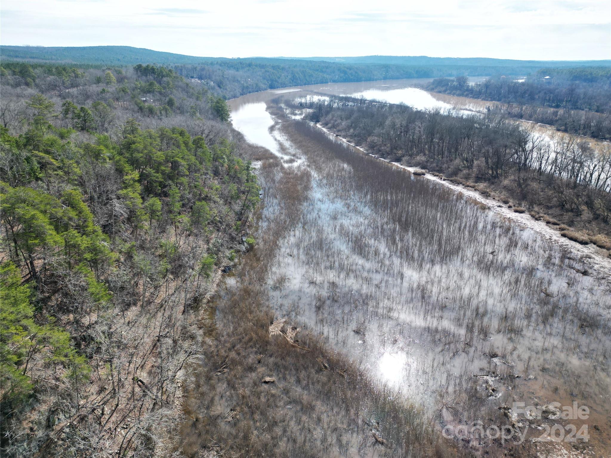 Tbd Grassy Island Road Ellerbe, NC 28338 - Photo 15 of 38 a view of a dry yard with green space