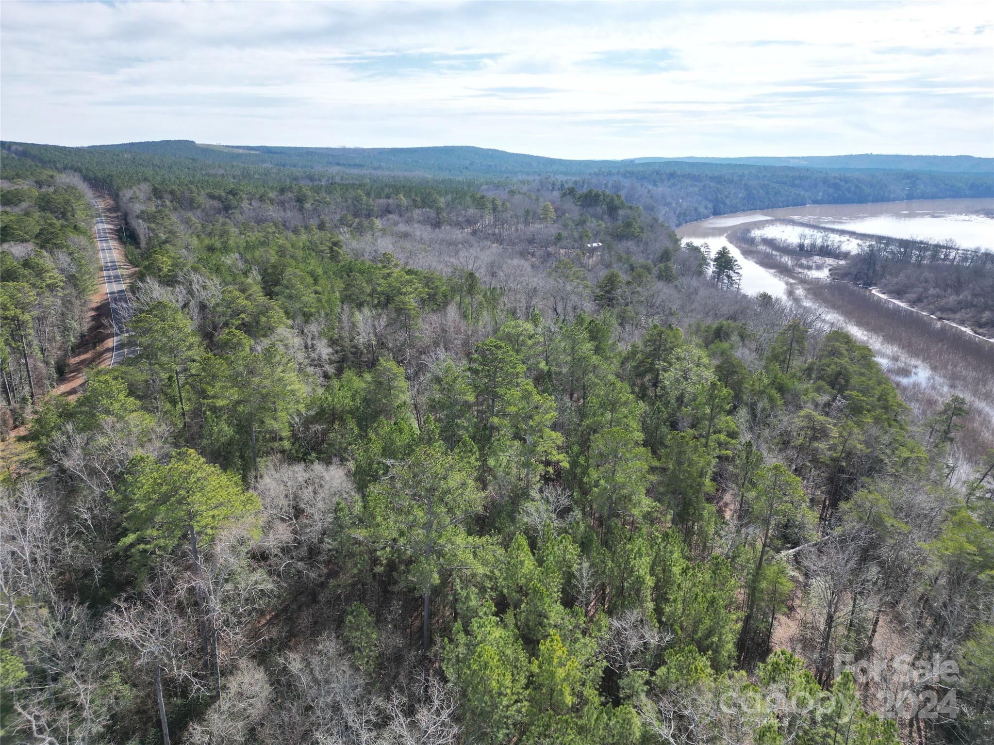 Tbd Grassy Island Road Ellerbe, NC 28338 - Photo 16 of 38 a view of an outdoor space with mountain view