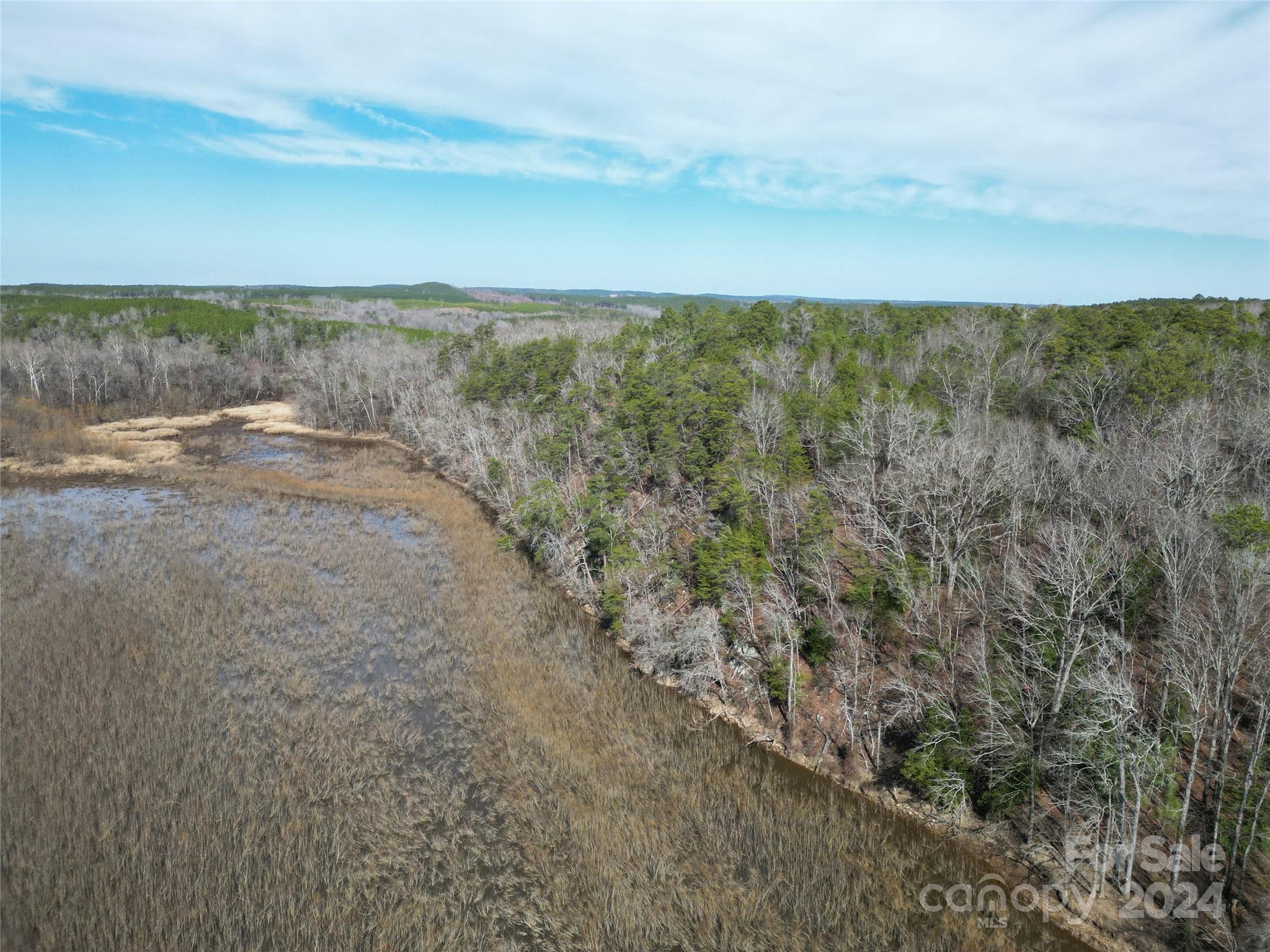 Tbd Grassy Island Road Ellerbe, NC 28338 - Photo 17 of 38 a view of beach and ocean