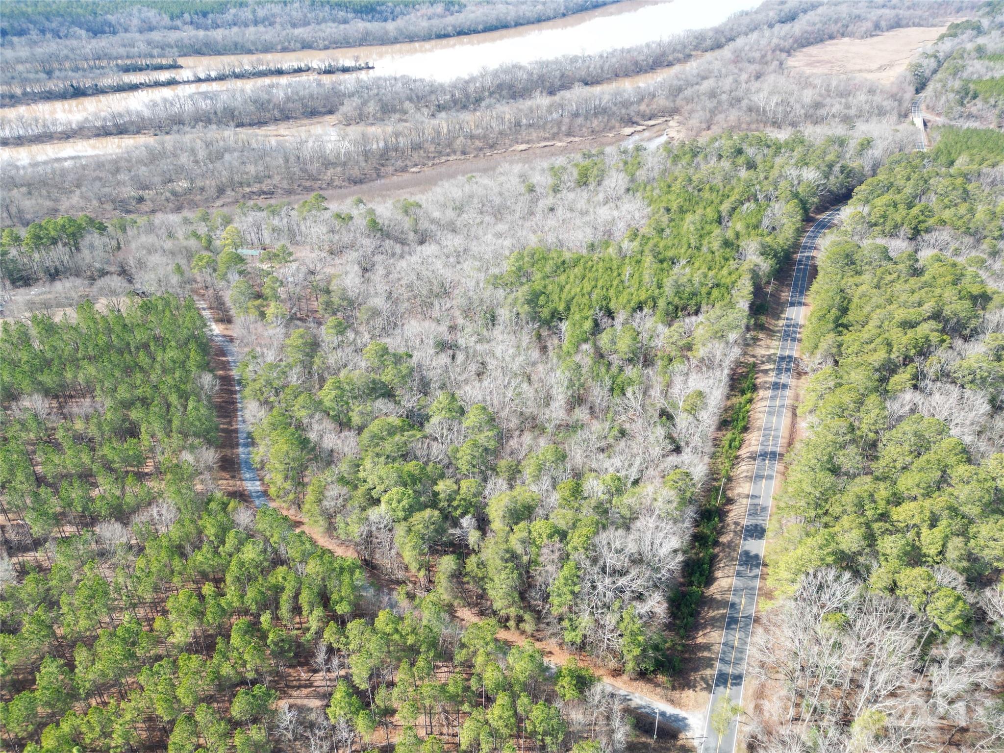 Tbd Grassy Island Road Ellerbe, NC 28338 - Photo 20 of 38 a close up of a plant with a wall