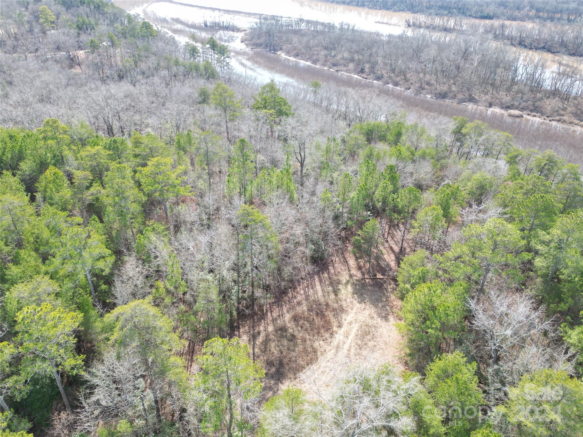 Tbd Grassy Island Road Ellerbe, NC 28338 - Photo 21 of 38 a view of a yard with a plant