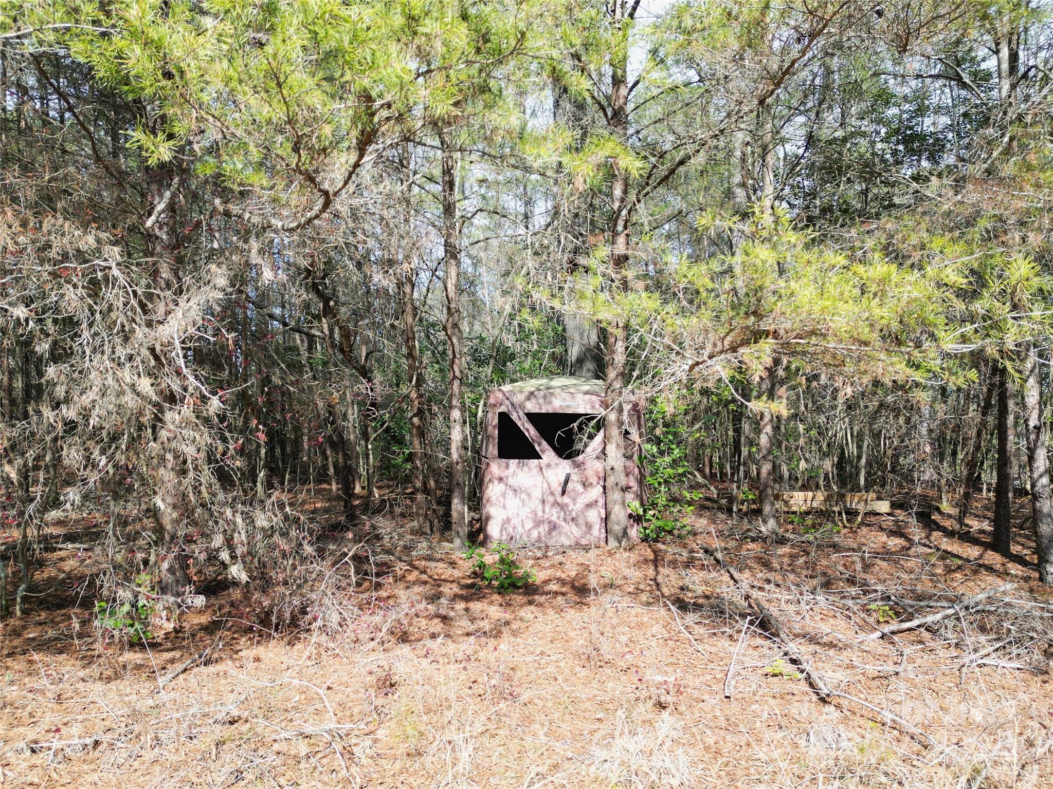 Tbd Grassy Island Road Ellerbe, NC 28338 - Photo 22 of 38 a view of a backyard