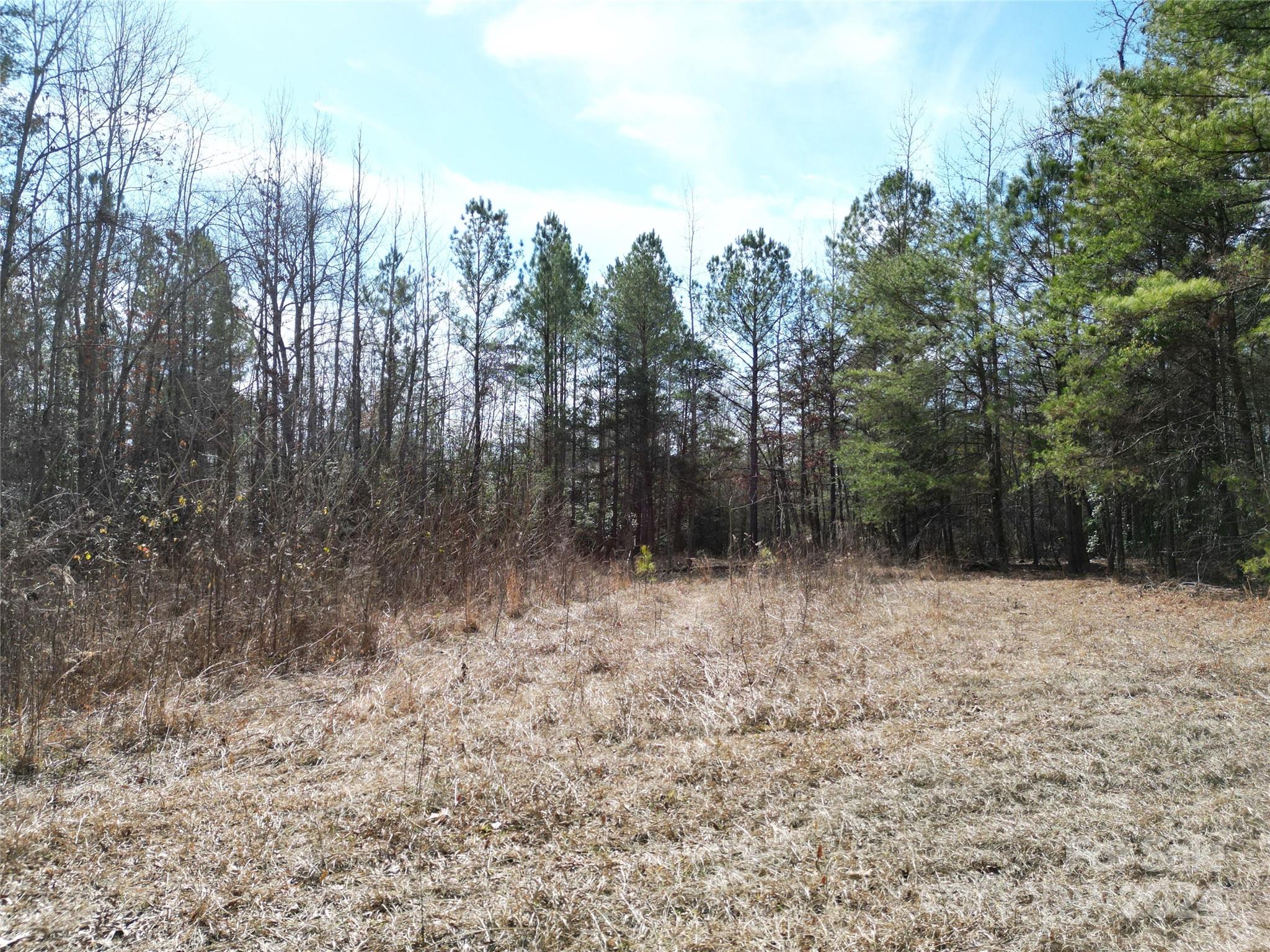 Tbd Grassy Island Road Ellerbe, NC 28338 - Photo 23 of 38 a view of backyard with green space