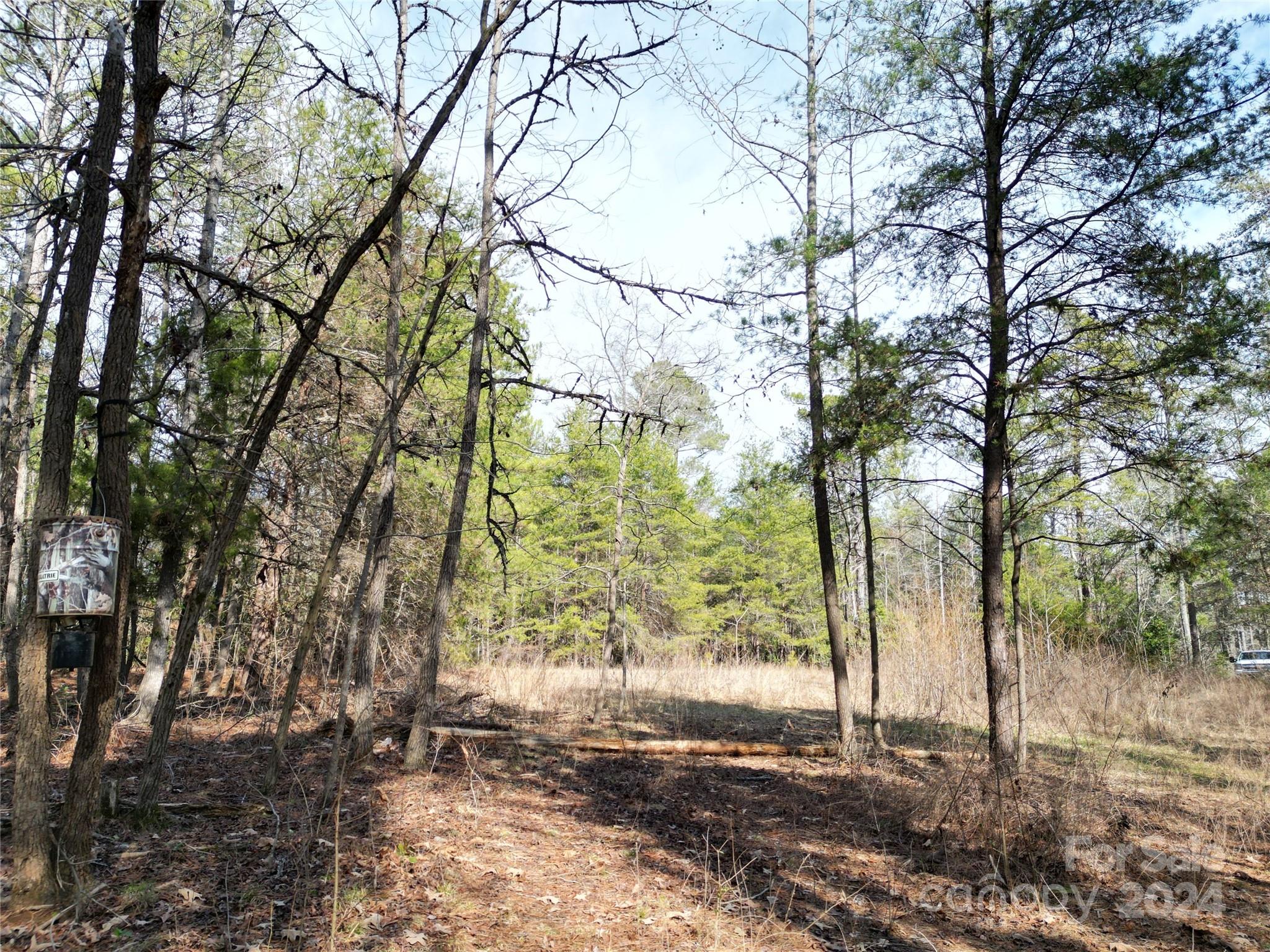 Tbd Grassy Island Road Ellerbe, NC 28338 - Photo 24 of 38 a view of a yard with a tree