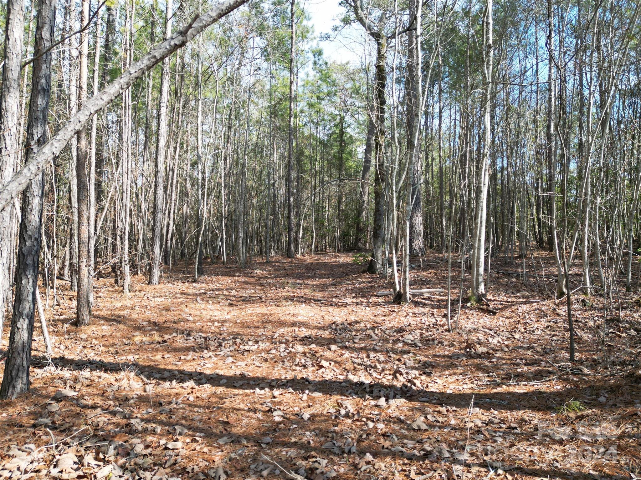 Tbd Grassy Island Road Ellerbe, NC 28338 - Photo 25 of 38 a backyard of a house with lots of green space