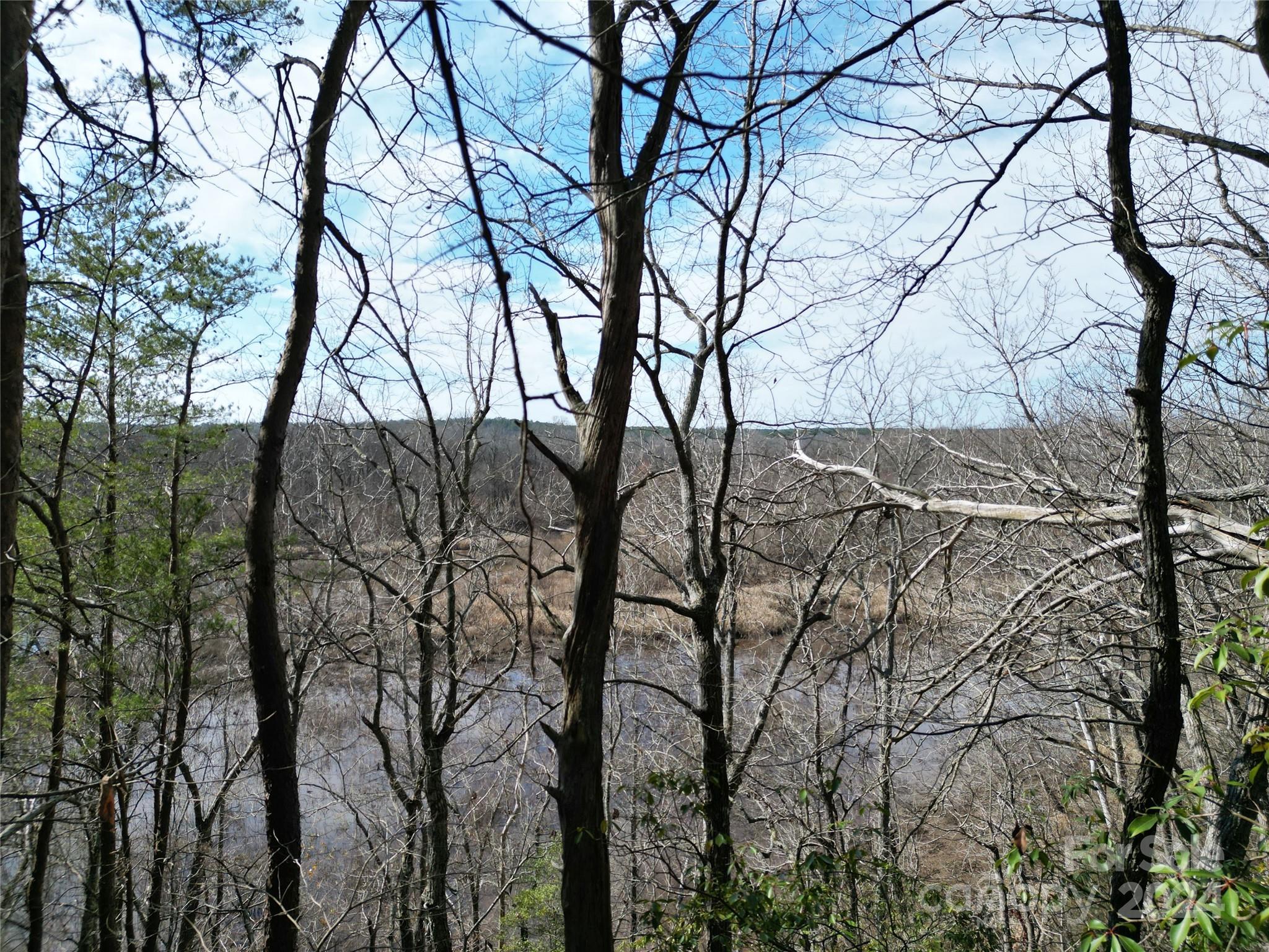 Tbd Grassy Island Road Ellerbe, NC 28338 - Photo 26 of 38 a view of tree covered with snow