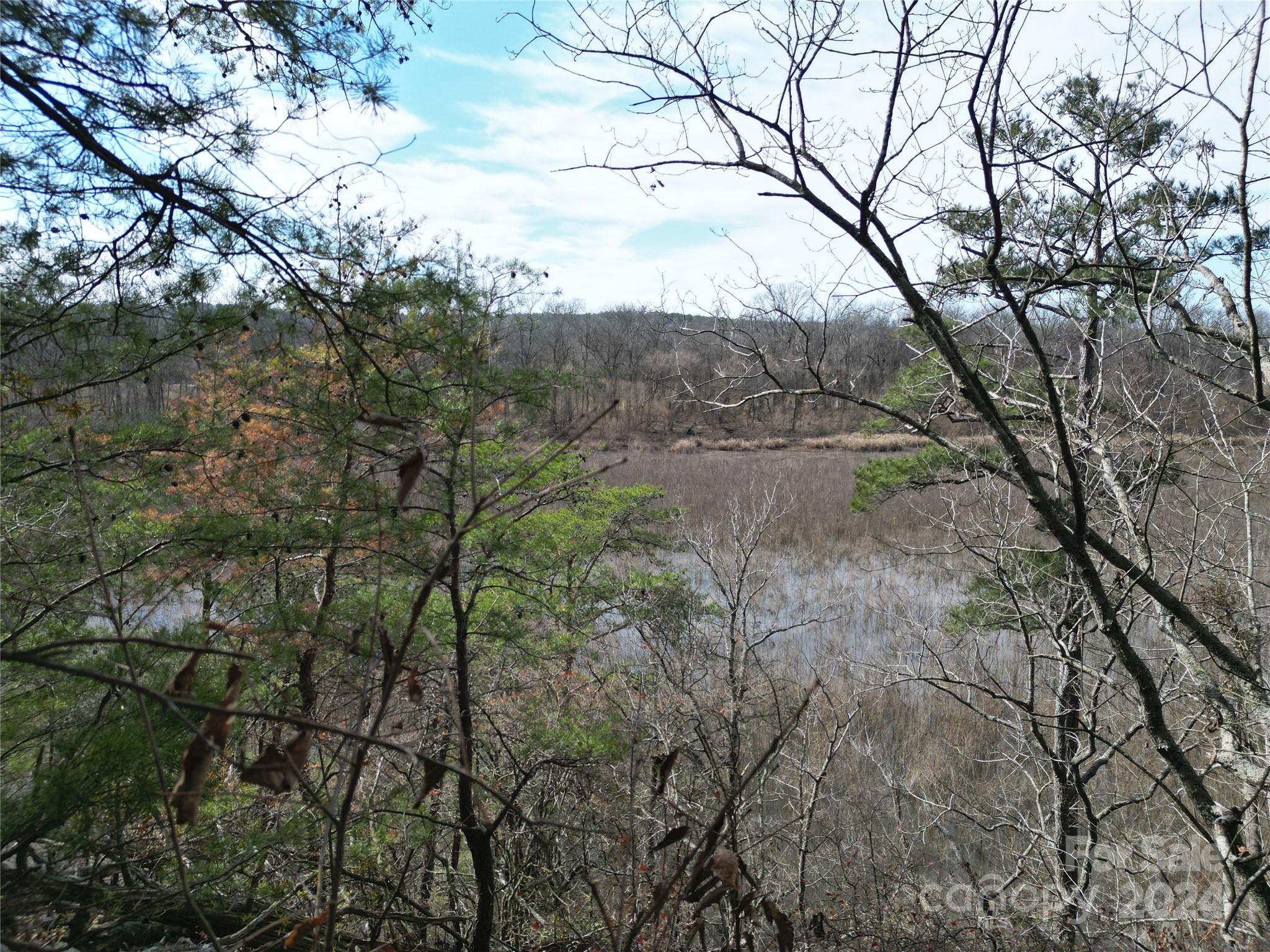 Tbd Grassy Island Road Ellerbe, NC 28338 - Photo 30 of 38 a view of an outdoor space with a lake view