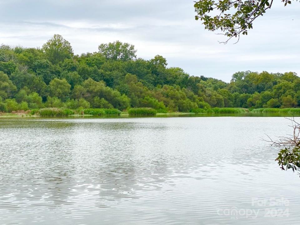 Tbd Grassy Island Road Ellerbe, NC 28338 - Photo 3 of 38 a view of a lake view