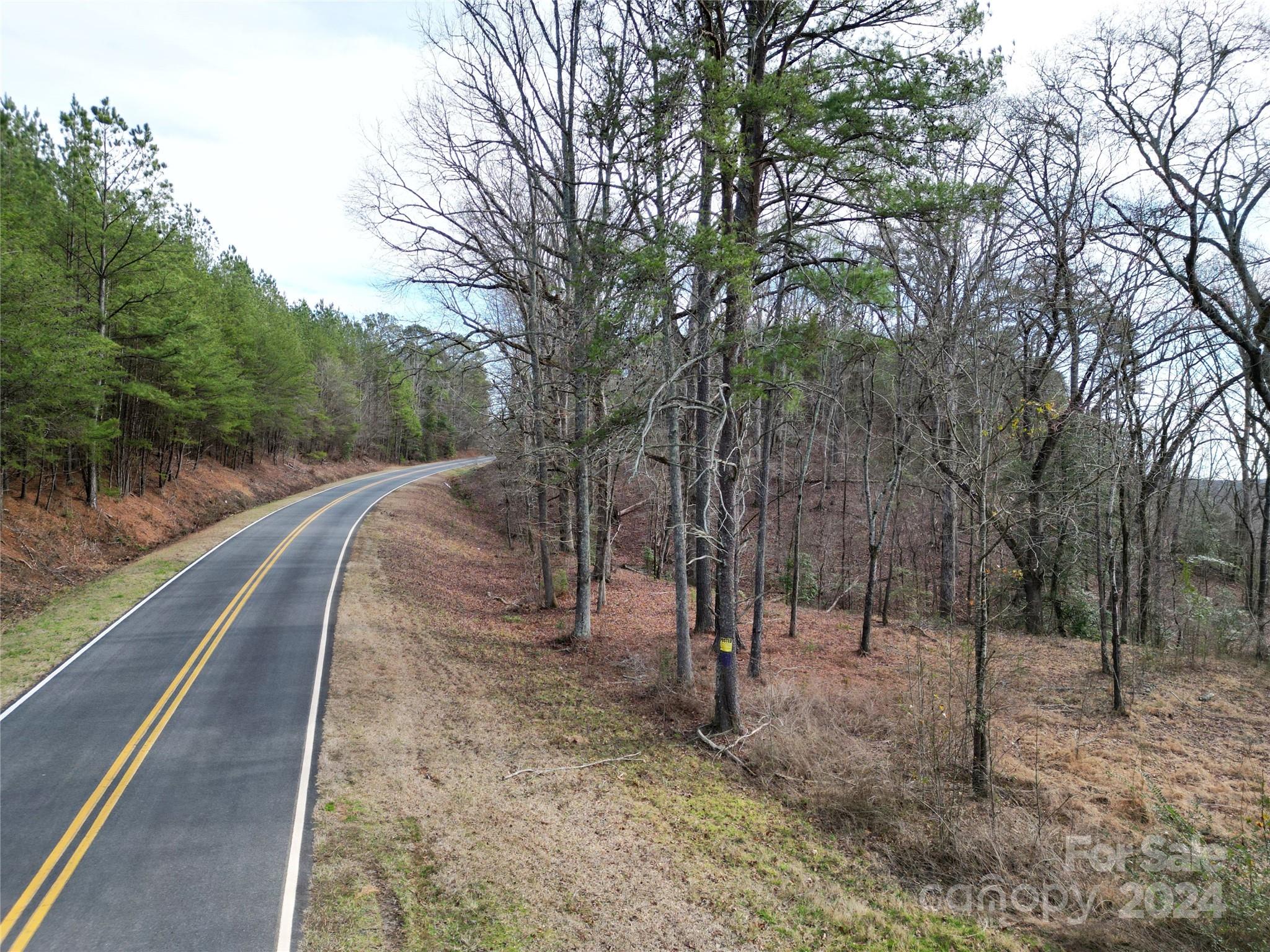 Tbd Grassy Island Road Ellerbe, NC 28338 - Photo 34 of 38 a view of a forest with trees