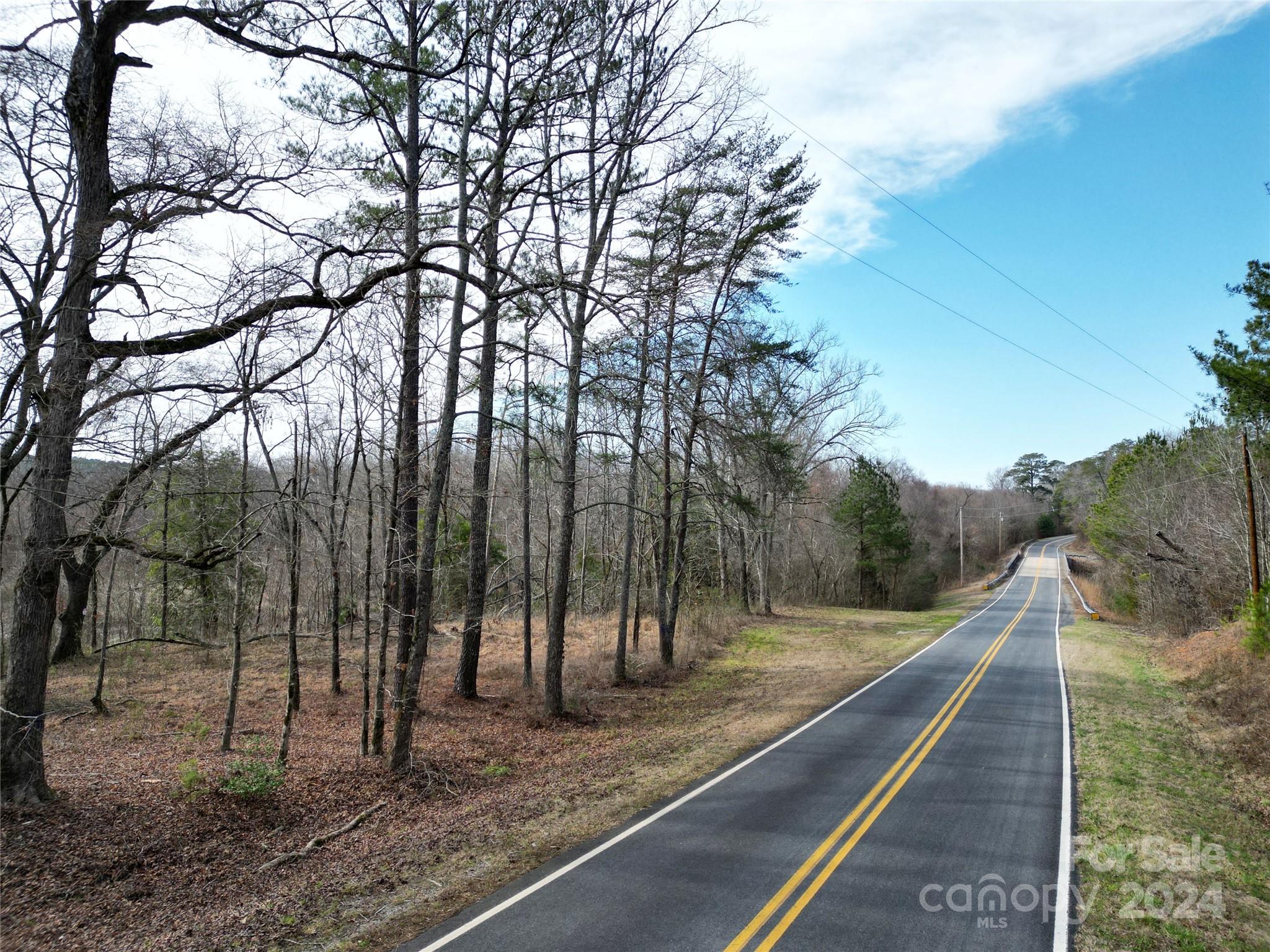 Tbd Grassy Island Road Ellerbe, NC 28338 - Photo 35 of 38 a view of a forest with trees