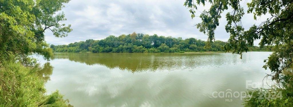 Tbd Grassy Island Road Ellerbe, NC 28338 - Photo 37 of 38 a body of water with a tree in the background