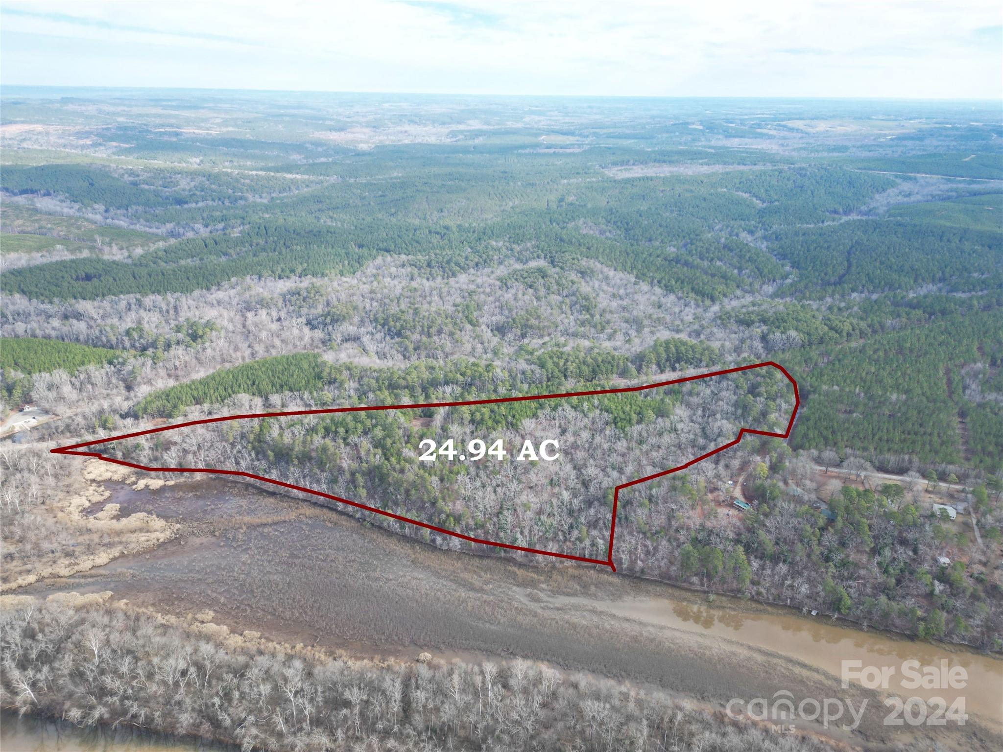 Tbd Grassy Island Road Ellerbe, NC 28338 - Photo 8 of 38 a view of a dry yard with large trees
