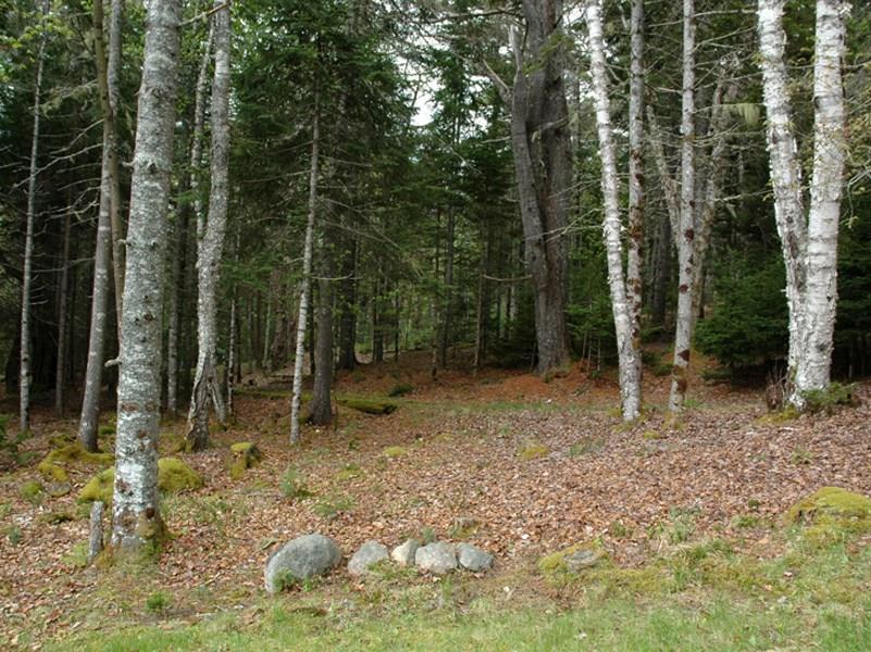 2 Northern Neck Road Mount Desert, ME 04660 - Photo 18 of 32 Photo