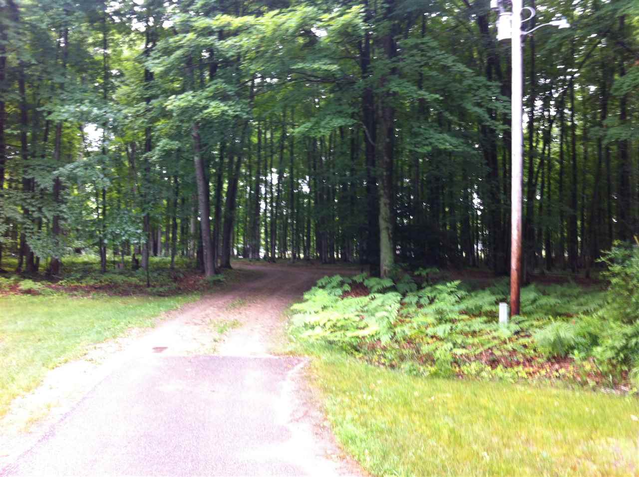 7374 Sullivan Road Grawn, MI 49637 - Photo 13 of 36 1803393-12.JPG