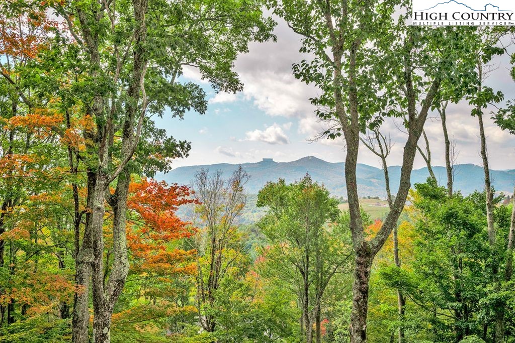 906 Fox Meadow Road Banner Elk, NC 28604 - Photo 4 of 40 a view of a garden