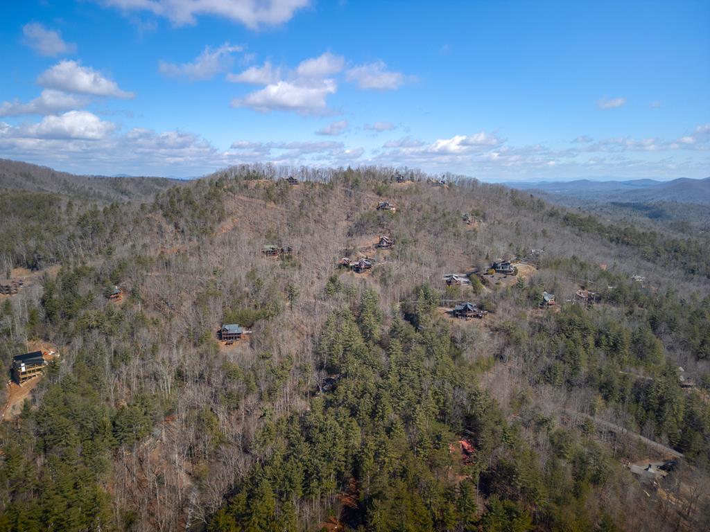 101 Falling Rock Road Blue Ridge, GA 30513 - Photo 60 of 64 Gallery Image 60
